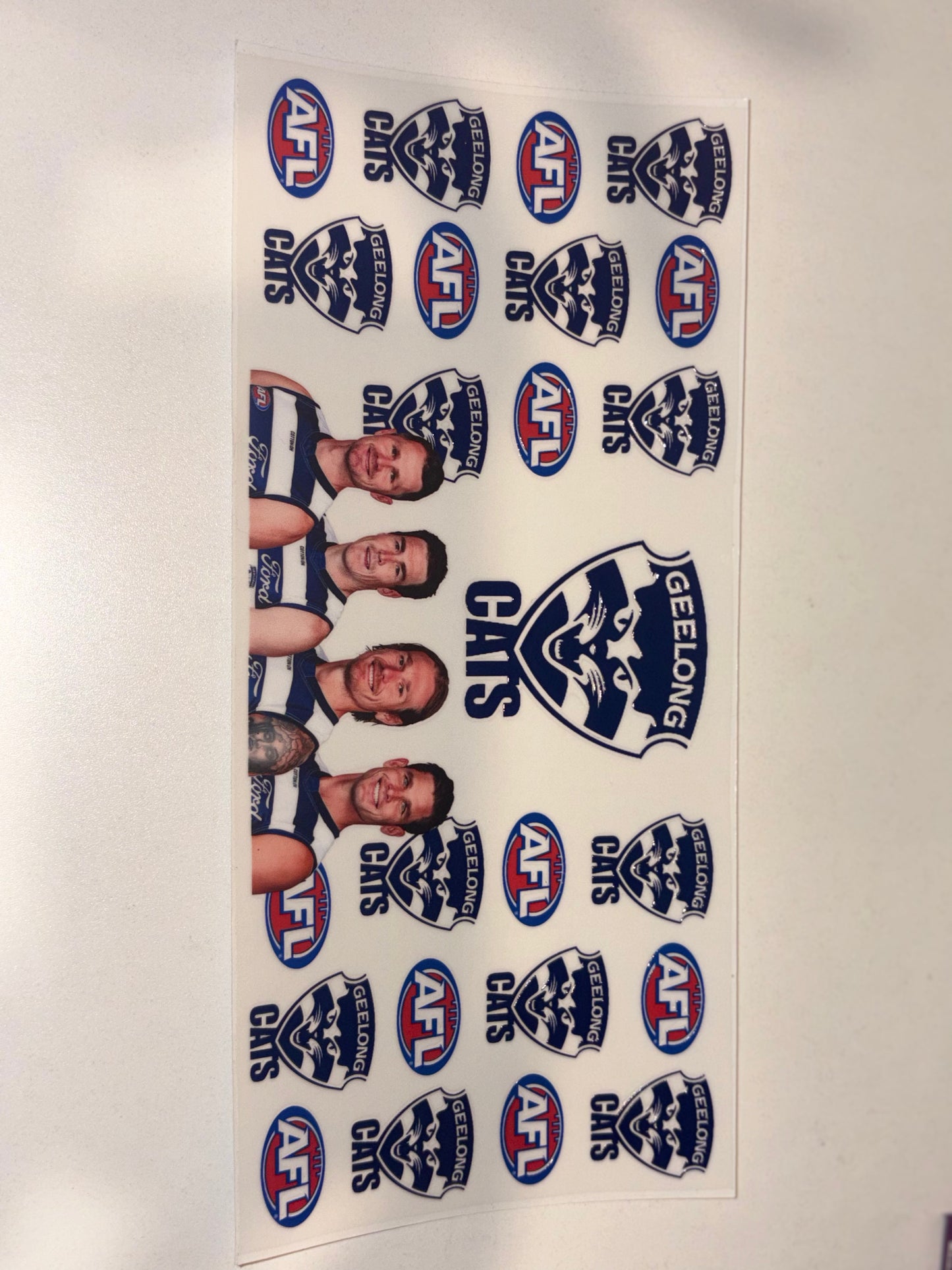 AFL Team Members and Logo