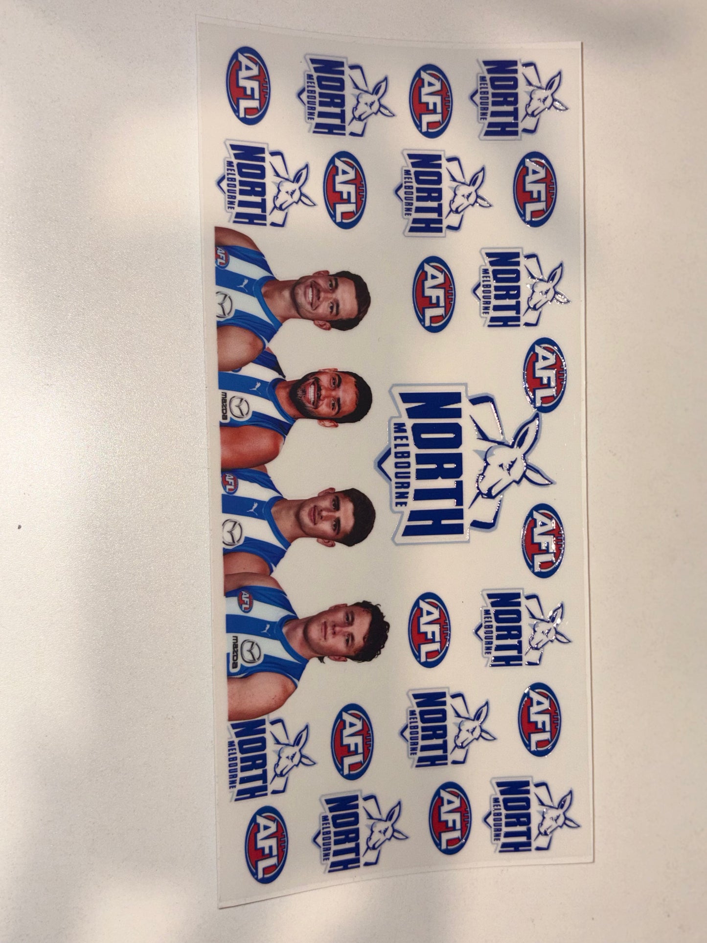AFL Team Members and Logo